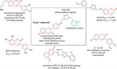 Synthesis of New 3-Arylcoumarins Bearing N-Benzyl Triazole Moiety: Dual Lipoxygenase and Butyrylcholinesterase Inhibitors With Anti-Amyloid Aggregation and Neuroprotective Properties Against Alzheimer’s Disease